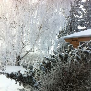 Meet your Posher, Rita